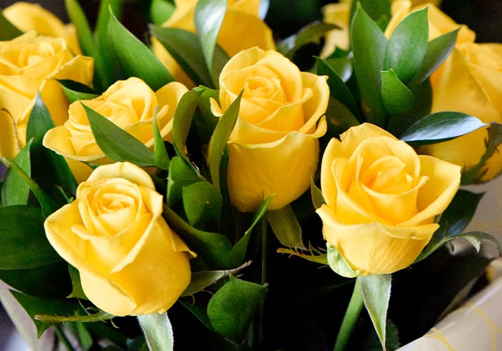 8 Rose Color Meanings for a Thoughtful Bouquet